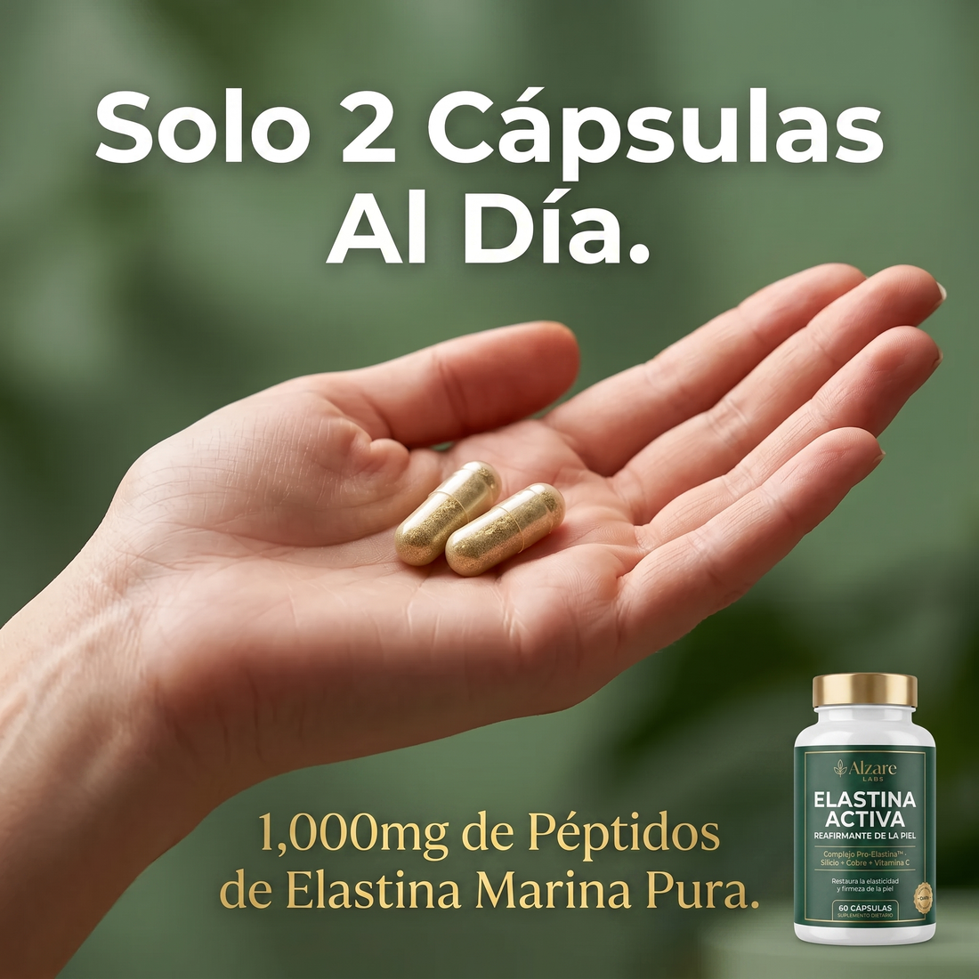 Capsulas elastina Alzare